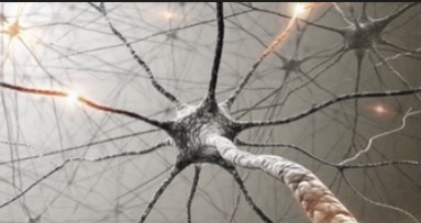 Neuron and optic nerve illustration